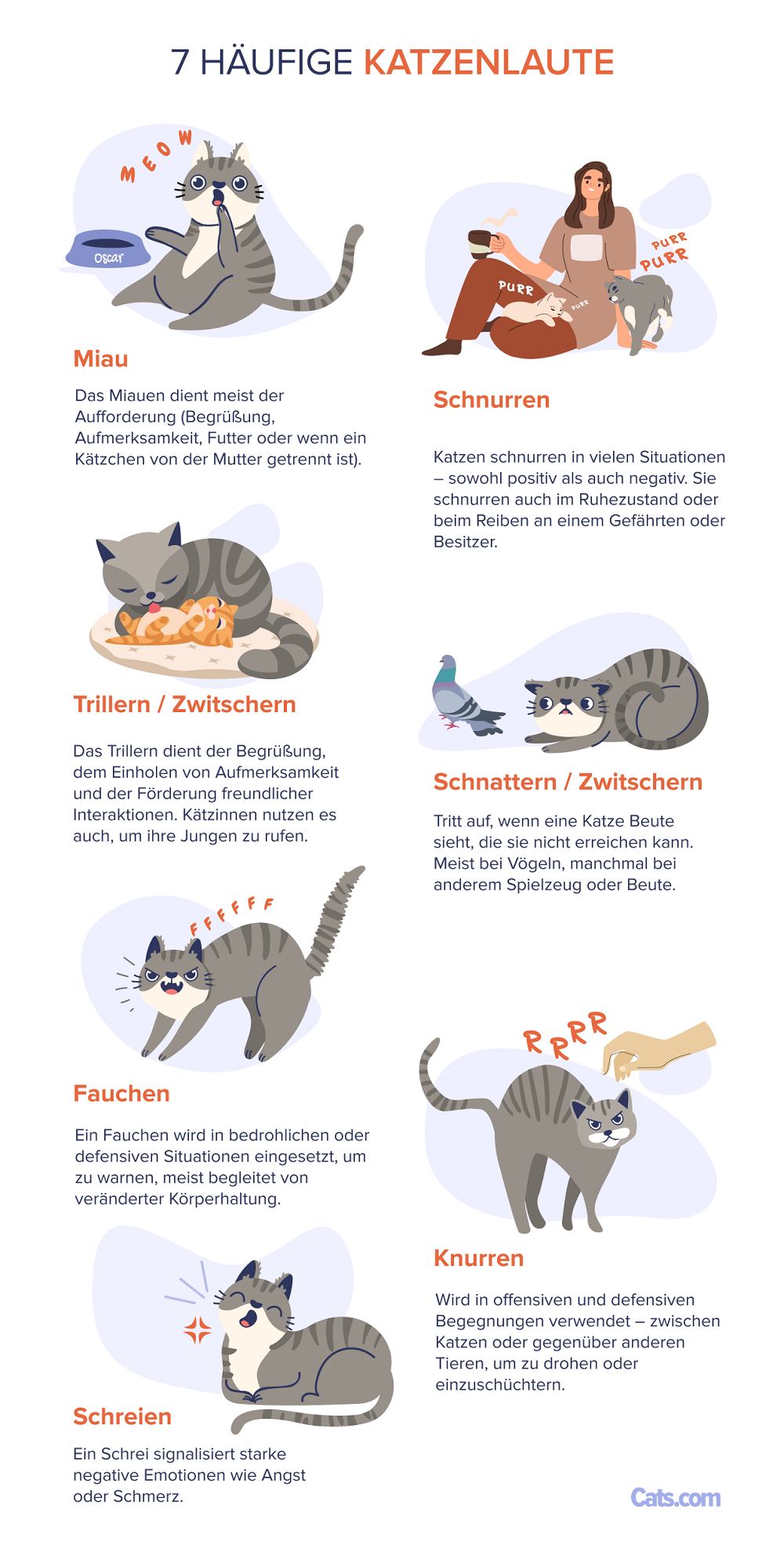 Liste der Lautäußerungen von Katzen