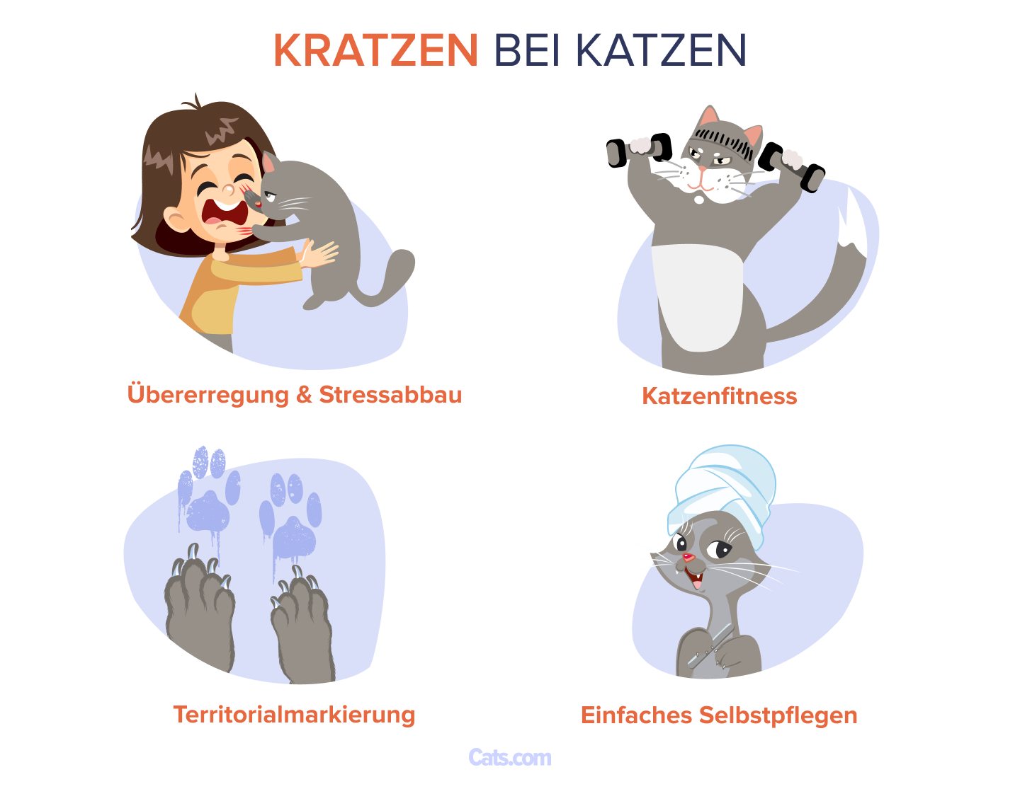 Warum kratzen Katzen