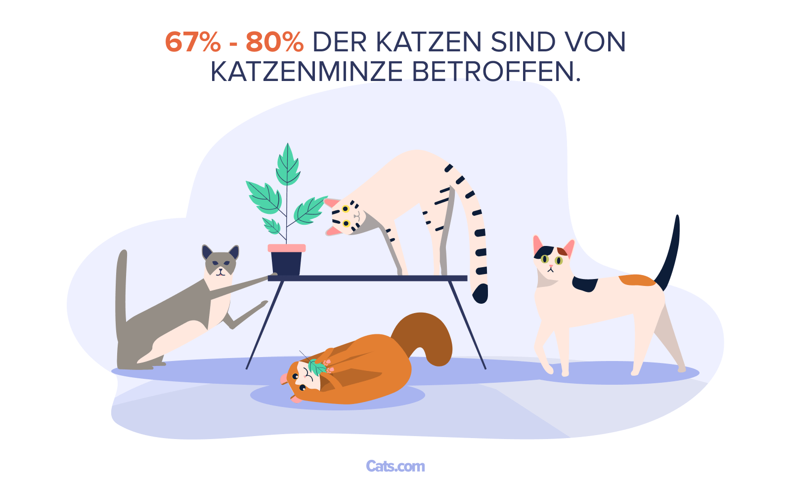 Der Katzenminzenwahn