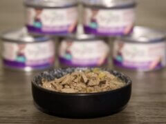 Purina Beyond Cage-Free Turkey Sweet Potato & Spinach Recipe in Gravy Wet Canned Cat Food