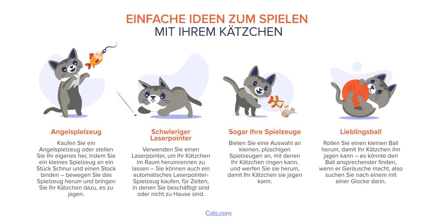 Bild mit einfachen Ideen zum Spielen mit einem Kätzchen.