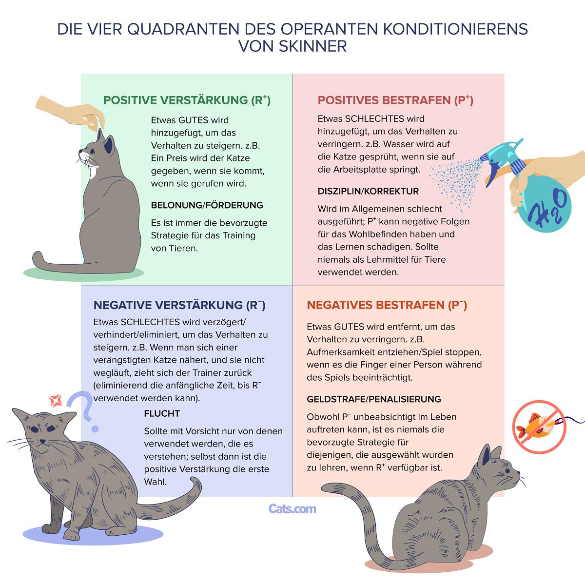 Skinners vier Quadranten der operanten Konditionierung Beispiel