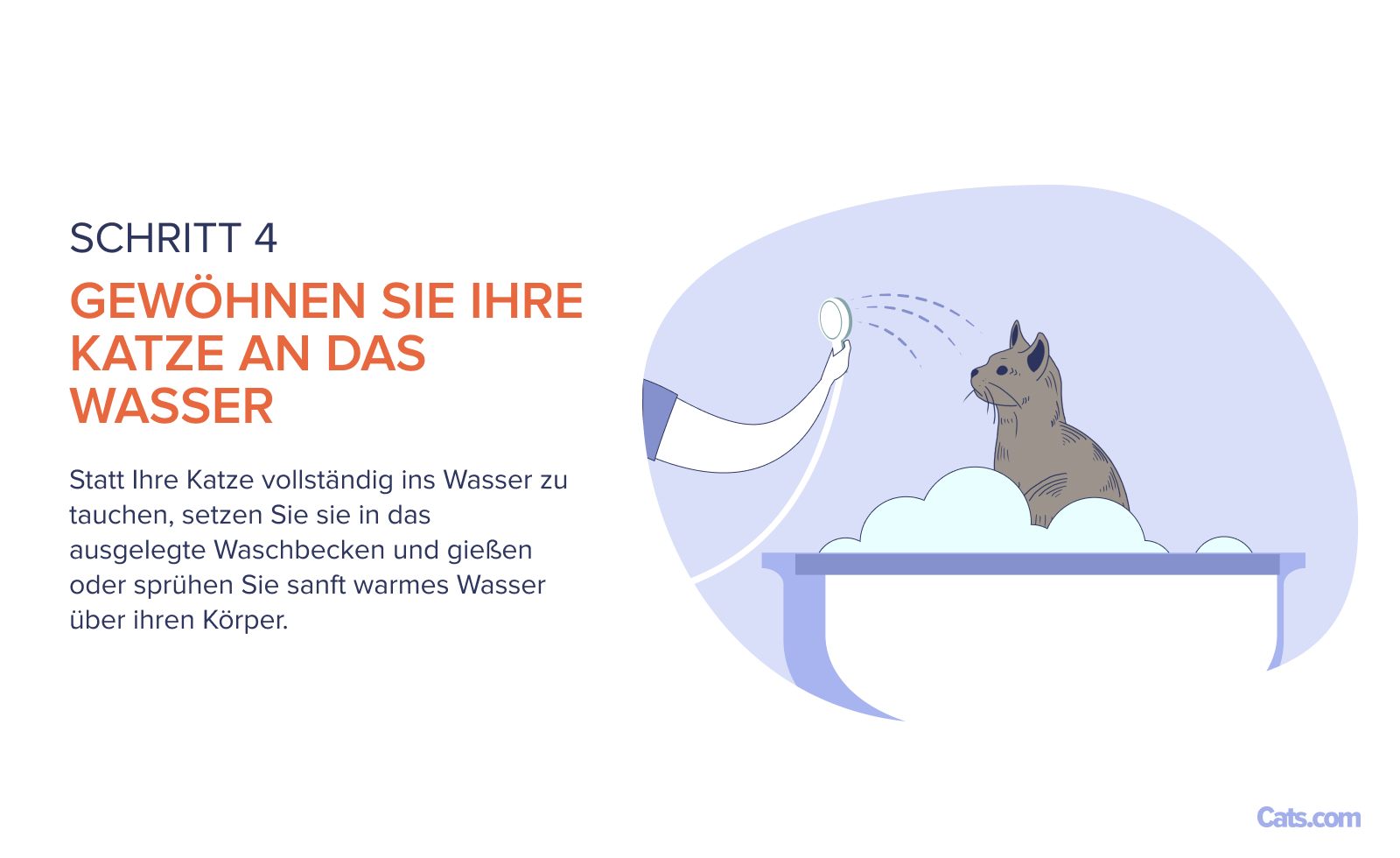 Schritt 4: Einführung in das Wasser