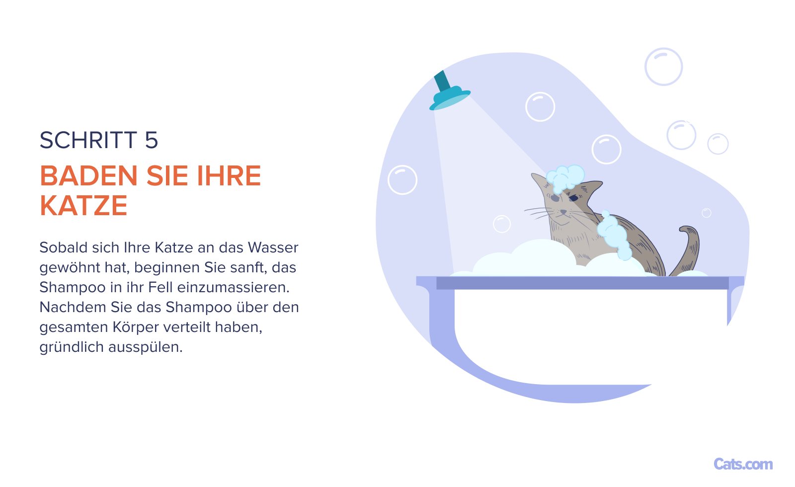 Schritt 5: Eine Katze baden