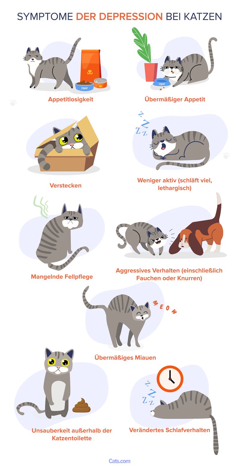 Anzeichen einer Depression bei Katzen