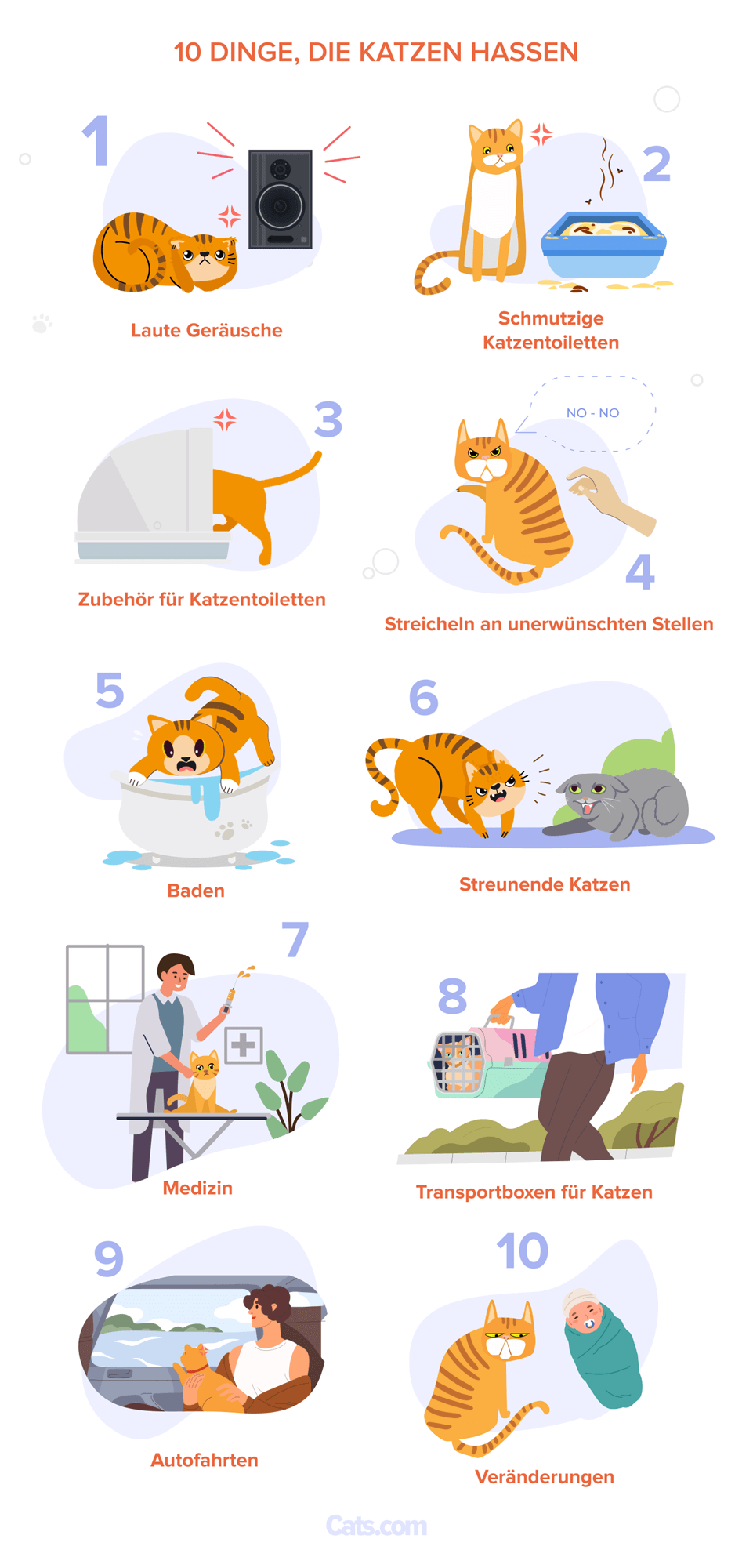 Die 10 Dinge, die Katzen am meisten hassen Infografik
