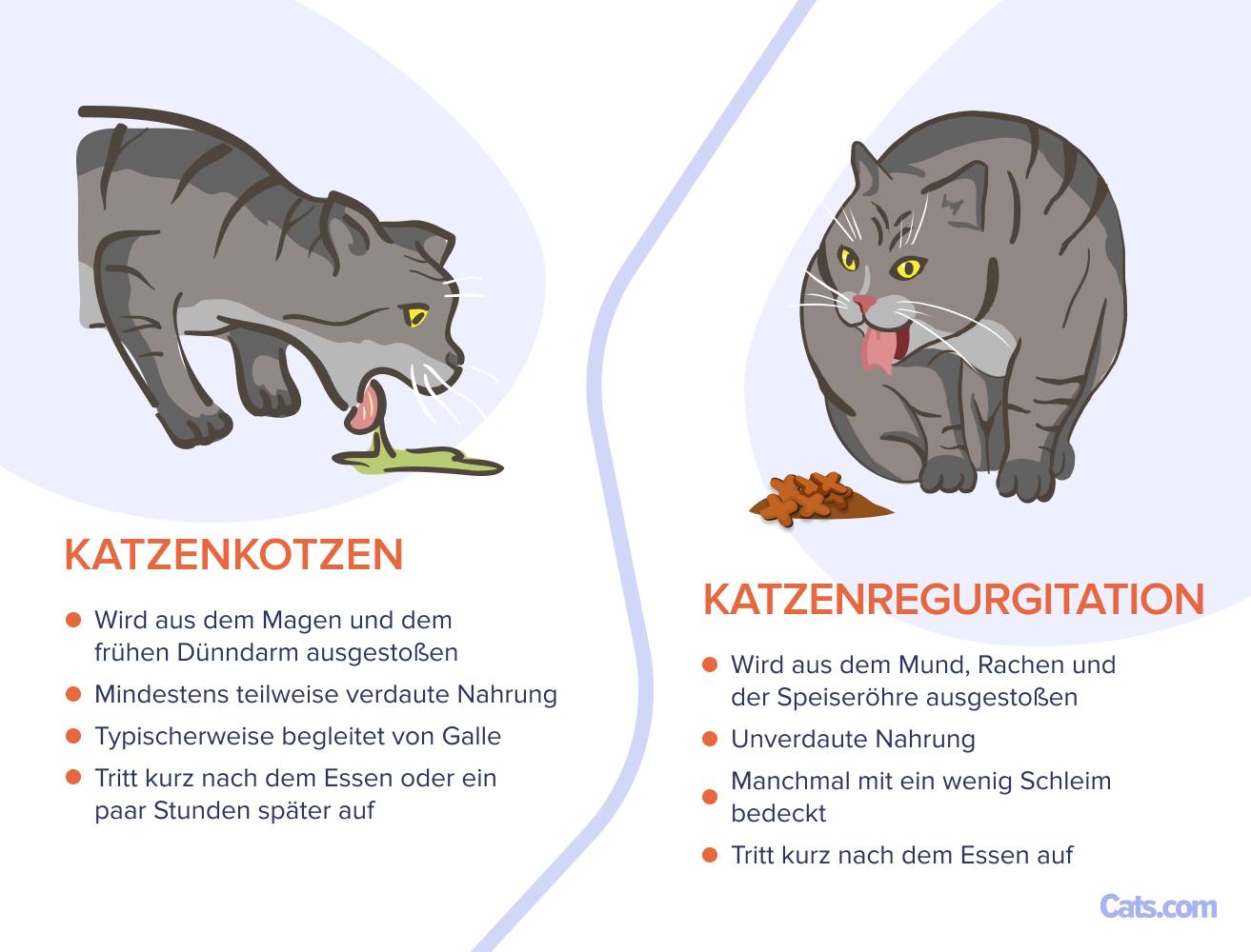 Erbrechen vs. Aufstoßen: Was sehe ich?