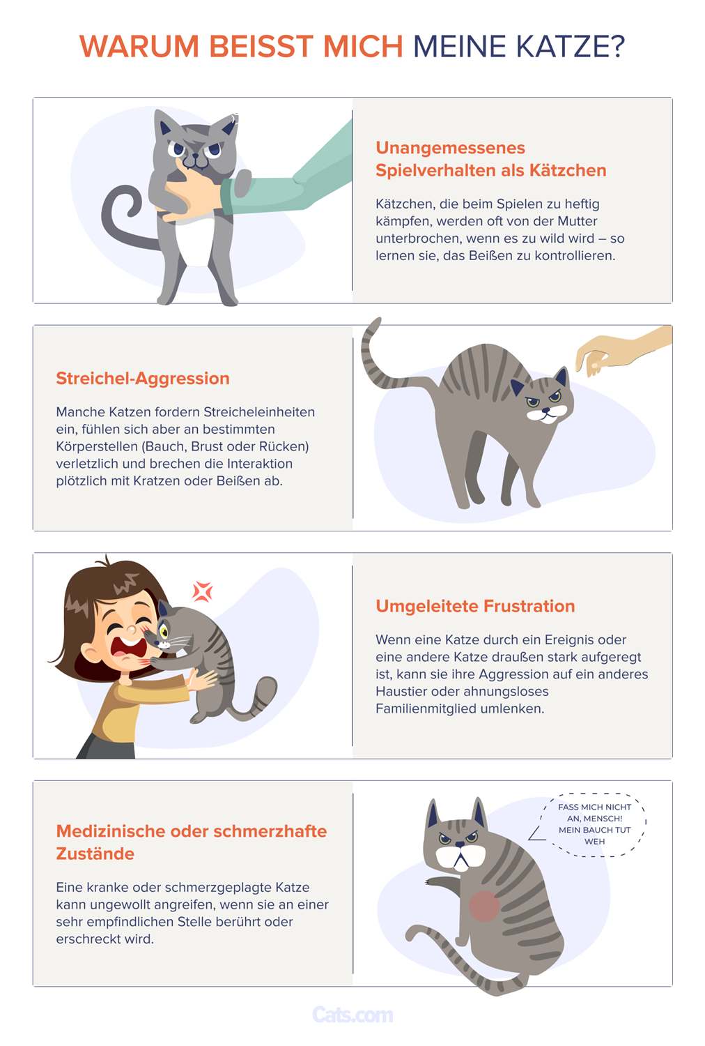 Was tun, wenn Ihre Katze Sie beißt