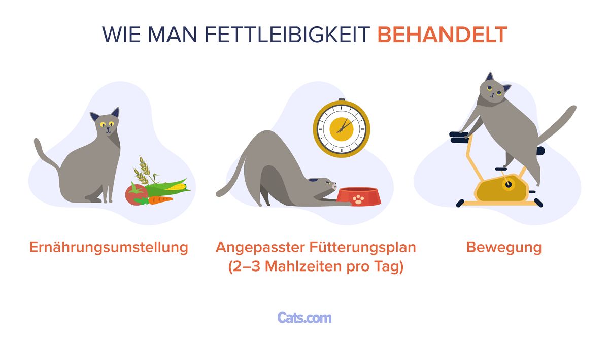 Wie man Fettleibigkeit behandelt