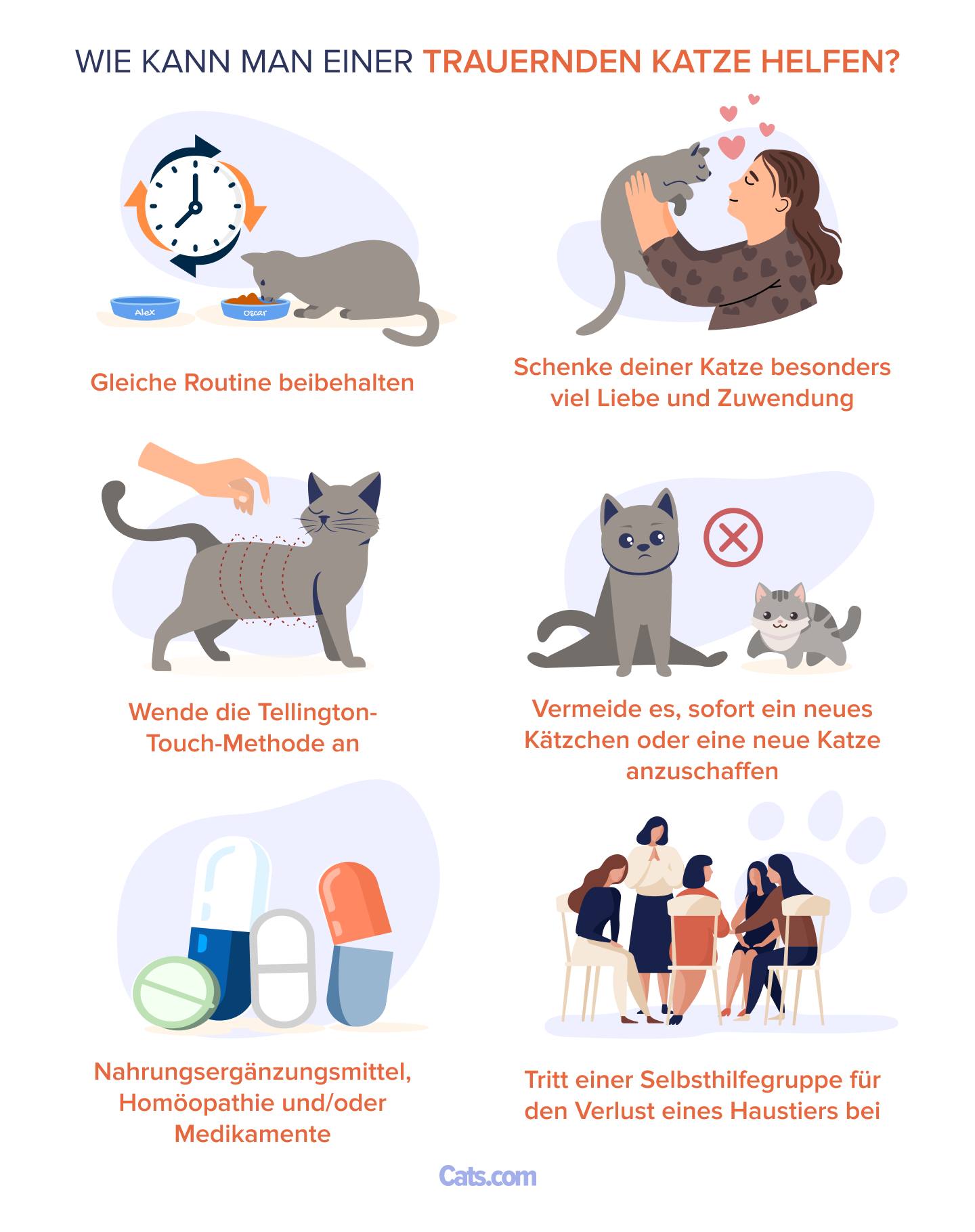 Wie man einer trauernden Katze hilft