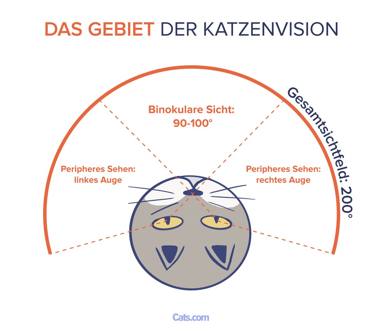Blickfeld