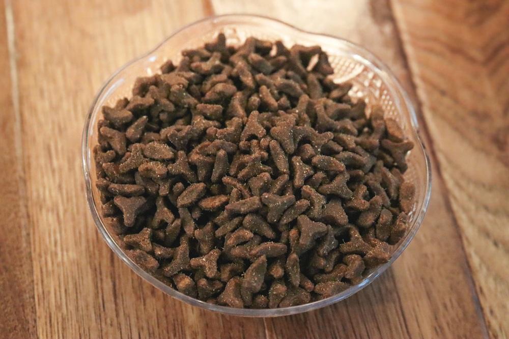 FirstMate-Hühnchen-Mahlzeit-mit-Blaubeeren-Formel-Trockenfutter-Katzen-9