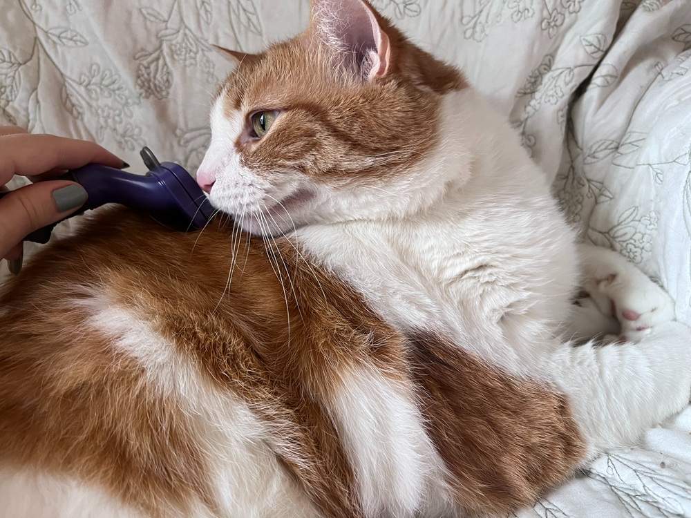 FURminator Enthaarungswerkzeug für Langhaarkatzen