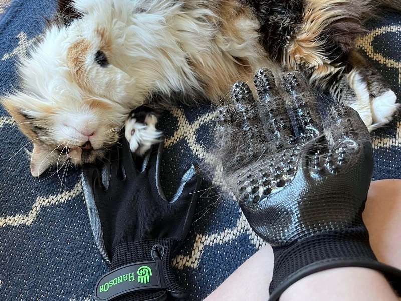 HandsOn All-In-One-Haustierbade- und -pflegeset Fellpflegehandschuhe