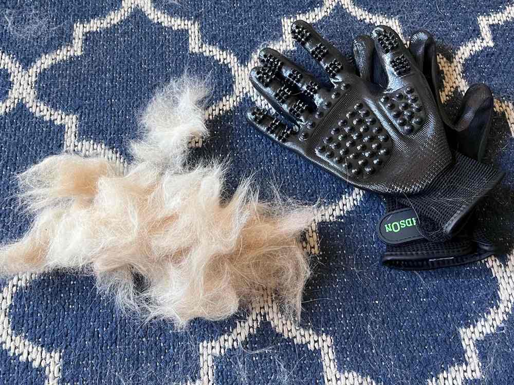 HandsOn All-In-One-Haustierbade- und -pflegeset Fellpflegehandschuhe