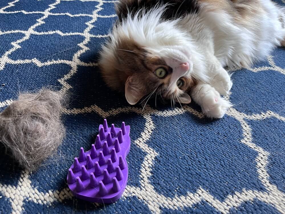 KONG Katzen-ZoomGroom-Bürste