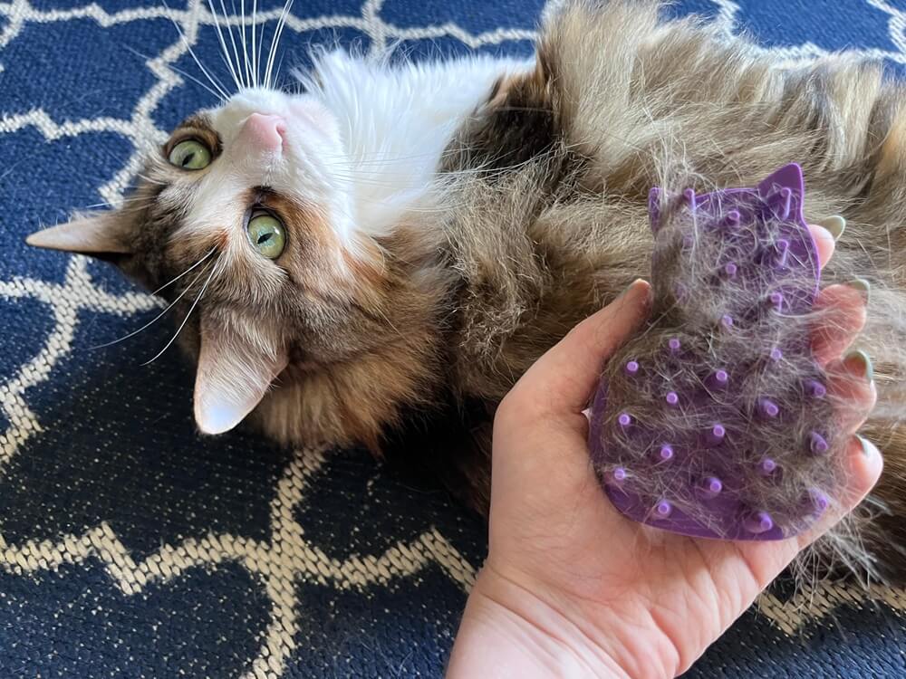 KONG Katzen-ZoomGroom-Bürste