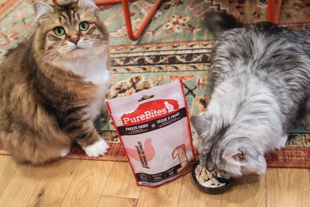 PureBites Hähnchenbrust