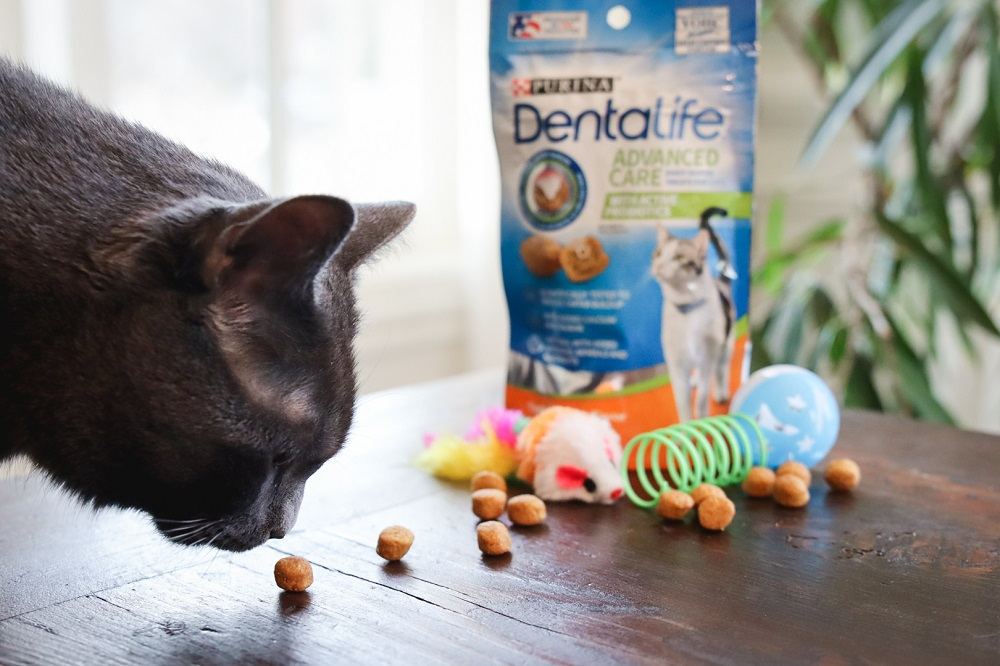 Purina DentaLife Zahnpflege-Leckerli für Katzen