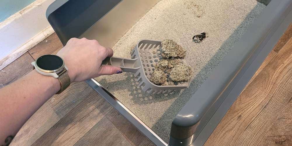 iPrimio XL-Katzentoilette aus antihaftbeschichtetem Edelstahl