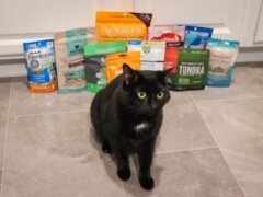 10-Best-Cat-Treats-2