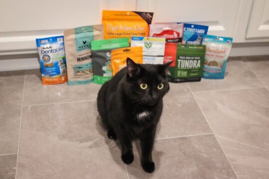 Die 10 besten Katzenleckerlis