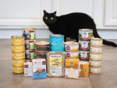 Bestes Nassfutter für Katzen in Dosen 2025: Testbericht