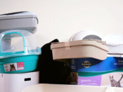 Cat-litter-test