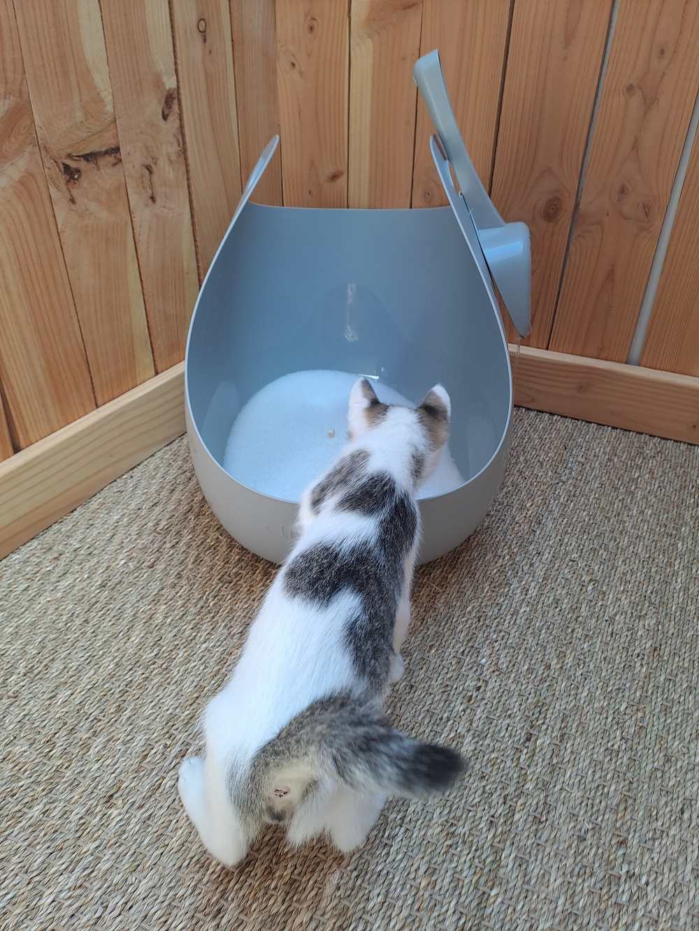 Litter Genie Katzentoilette