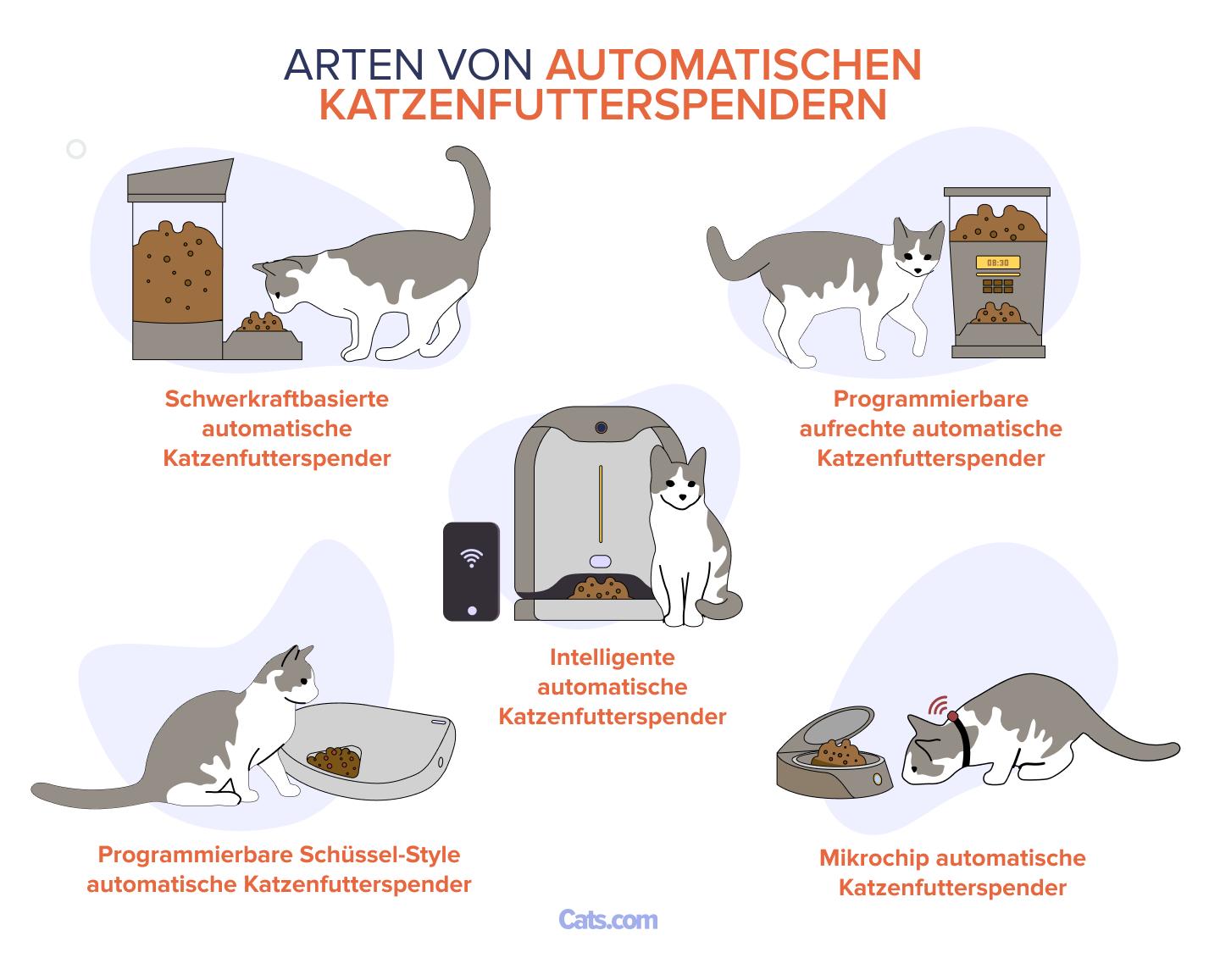 Arten von automatischen Katzenfutterautomaten